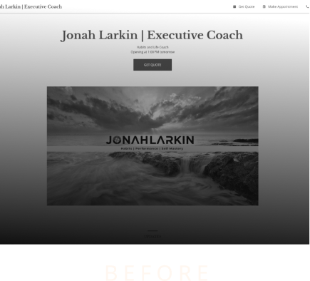Executive coach
